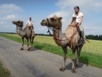 /album/fotogalerie-velbloudi-raj-zahostice/delsi-jizda-velbloudi-jpg1/